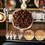 Cafe hạt Robusta